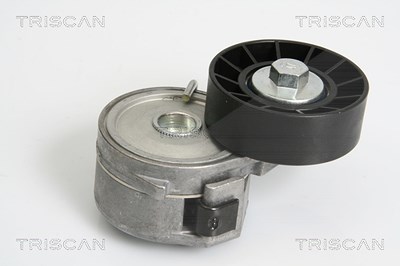Triscan Spannarm, Keilrippenriemen [Hersteller-Nr. 8641103032] für Citroën, Fiat, Ford, Lancia, Peugeot, Volvo von TRISCAN