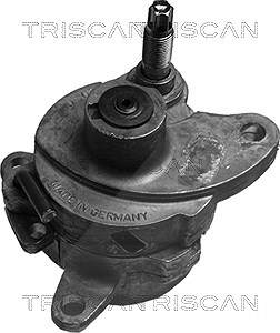 Triscan Spannarm, Keilrippenriemen [Hersteller-Nr. 8641233001] für Daewoo, Mercedes-Benz, Ssangyong, VW von TRISCAN