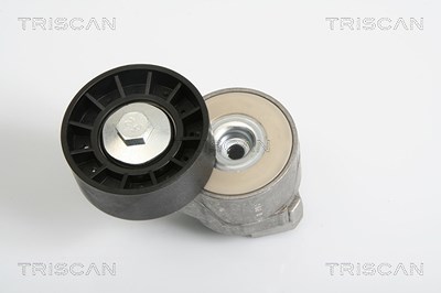 Triscan Spannarm, Keilrippenriemen [Hersteller-Nr. 8641153008] für Fiat, Iveco von TRISCAN