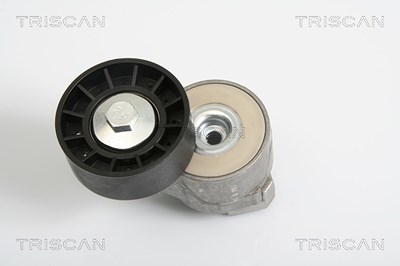 Triscan Spannarm, Keilrippenriemen [Hersteller-Nr. 8641153008] für Fiat, Iveco, Karsan von TRISCAN
