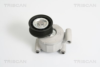 Triscan Spannarm, Keilrippenriemen [Hersteller-Nr. 8641103022] für Ford, Volvo von TRISCAN
