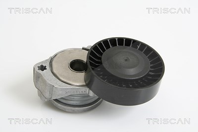 Triscan Spannarm, Keilrippenriemen [Hersteller-Nr. 8641103026] für Ford, Volvo von TRISCAN