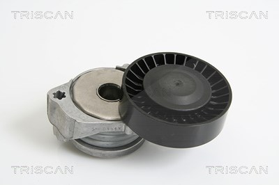 Triscan Spannarm, Keilrippenriemen [Hersteller-Nr. 8641103026] für Ford, Volvo von TRISCAN