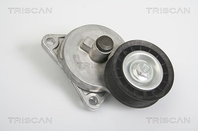 Triscan Spannarm, Keilrippenriemen [Hersteller-Nr. 8641163005] für Ford, Mazda von TRISCAN