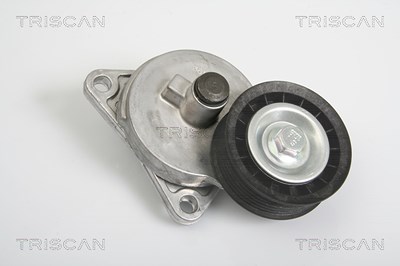 Triscan Spannarm, Keilrippenriemen [Hersteller-Nr. 8641163005] für Ford, Ford Usa, Mazda von TRISCAN