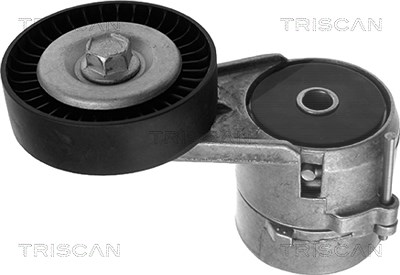 Triscan Spannarm, Keilrippenriemen [Hersteller-Nr. 8641243005] für Chevrolet, Opel, Saab, Vauxhall von TRISCAN