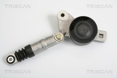 Triscan Spannarm, Keilrippenriemen [Hersteller-Nr. 8641803002] für Chrysler, Dodge von TRISCAN