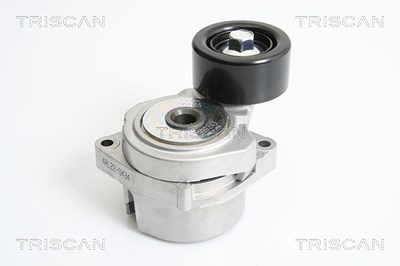 Triscan Spannarm, Keilrippenriemen [Hersteller-Nr. 8641403002] für Honda von TRISCAN