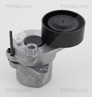 Triscan Spannarm, Keilrippenriemen [Hersteller-Nr. 8641233022] für Jeep, Mercedes-Benz von TRISCAN