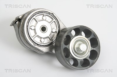 Triscan Spannarm, Keilrippenriemen [Hersteller-Nr. 8641173002] für Land Rover von TRISCAN