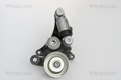 Triscan Spannarm, Keilrippenriemen [Hersteller-Nr. 8641233010] für Mercedes-Benz von TRISCAN