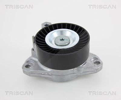 Triscan Spannarm, Keilrippenriemen [Hersteller-Nr. 8641233016] für Mercedes-Benz von TRISCAN
