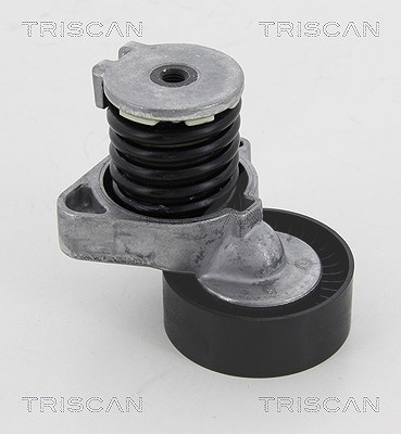 Triscan Spannarm, Keilrippenriemen [Hersteller-Nr. 8641233024] für Mercedes-Benz von TRISCAN
