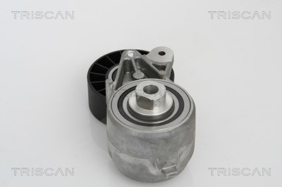 Triscan Spannarm, Keilrippenriemen [Hersteller-Nr. 8641233009] für Mercedes-Benz von TRISCAN