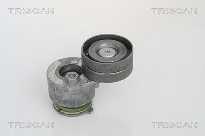 Triscan Spannarm, Keilrippenriemen [Hersteller-Nr. 8641103018] für Mitsubishi, Nissan, Opel, Renault, Vauxhall, Volvo von TRISCAN