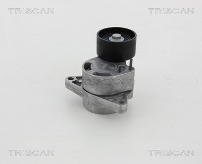 Triscan Spannarm, Keilrippenriemen [Hersteller-Nr. 8641103039] für Nissan, Opel, Renault von TRISCAN