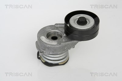 Triscan Spannarm, Keilrippenriemen [Hersteller-Nr. 8641243009] für Chevrolet, Opel von TRISCAN
