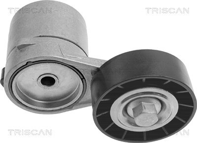 Triscan Spannarm, Keilrippenriemen [Hersteller-Nr. 8641243002] für Opel von TRISCAN
