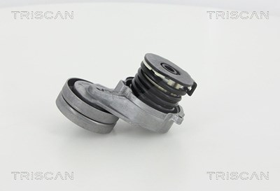 Triscan Spannarm, Keilrippenriemen [Hersteller-Nr. 8641243011] für Honda, Opel von TRISCAN