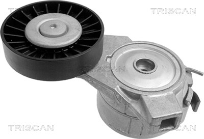 Triscan Spannarm, Keilrippenriemen [Hersteller-Nr. 8641653001] für Saab von TRISCAN