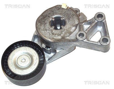 Triscan Spannarm, Keilrippenriemen [Hersteller-Nr. 8641293003] für Audi, Seat, Skoda, VW von TRISCAN