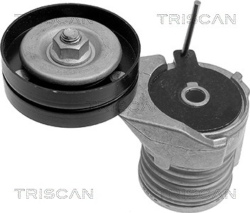 Triscan Spannarm, Keilrippenriemen [Hersteller-Nr. 8641293002] für Audi, Seat, Skoda, VW von TRISCAN