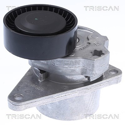Triscan Spannarm, Keilrippenriemen [Hersteller-Nr. 8641103010] für Volvo von TRISCAN