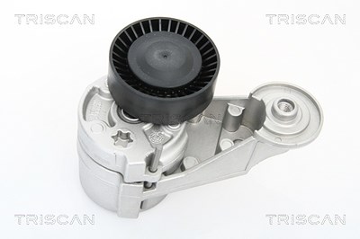 Triscan Spannarm, Keilrippenriemen [Hersteller-Nr. 8641273002] für Volvo von TRISCAN