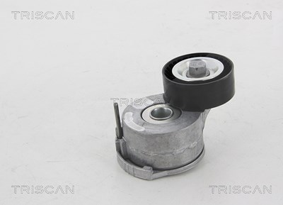 Triscan Spannrolle, Keilrippenriemen [Hersteller-Nr. 8641281026] für Citroën, Ds, Fiat, Opel, Peugeot, Toyota, Vauxhall von TRISCAN