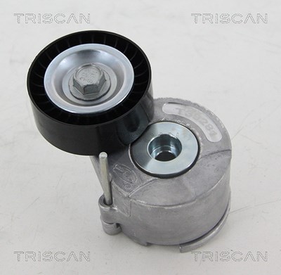 Triscan Spannrolle, Keilrippenriemen [Hersteller-Nr. 8641151008] für Citroën, Fiat, Opel, Peugeot, Vauxhall von TRISCAN