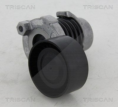 Triscan Spannrolle, Keilrippenriemen [Hersteller-Nr. 8641253012] für Dacia, Mercedes-Benz, Nissan, Renault von TRISCAN