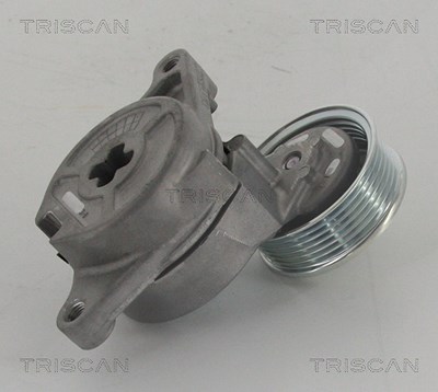 Triscan Spannrolle, Keilrippenriemen [Hersteller-Nr. 8641502003] für Mazda von TRISCAN