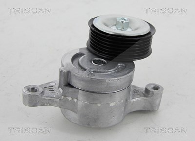 Triscan Spannrolle, Keilrippenriemen [Hersteller-Nr. 8641503009] für Mazda von TRISCAN
