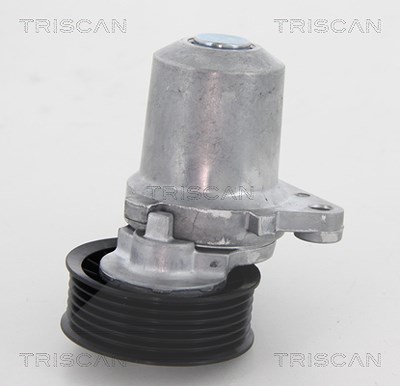 Triscan Spannrolle, Keilrippenriemen [Hersteller-Nr. 8641503003] für Mazda von TRISCAN