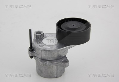 Triscan Spannrolle, Keilrippenriemen [Hersteller-Nr. 8641231025] für Mercedes-Benz von TRISCAN