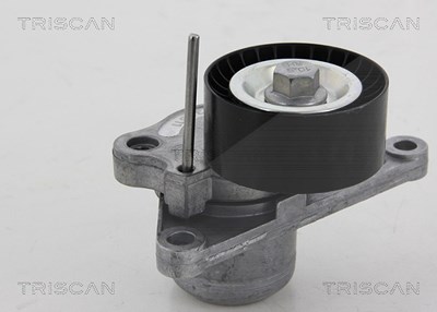 Triscan Spannrolle, Keilrippenriemen [Hersteller-Nr. 8641103040] für Nissan, Opel, Renault von TRISCAN