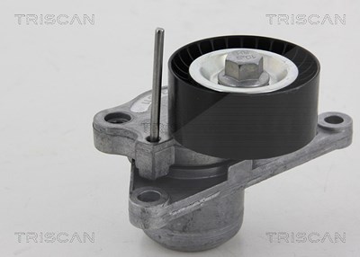 Triscan Spannrolle, Keilrippenriemen [Hersteller-Nr. 8641103040] für Nissan, Opel, Renault, Vauxhall von TRISCAN