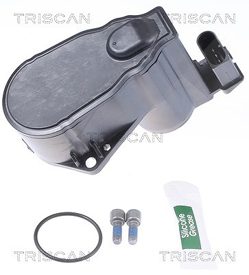 Triscan Stellelement, Feststellbremse Bremssattel [Hersteller-Nr. 8170208018] für Citroën, Ds, Opel, Peugeot, Vauxhall von TRISCAN