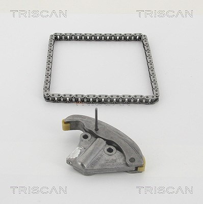 Triscan Steuerkettensatz [Hersteller-Nr. 865016001] für Ford von TRISCAN