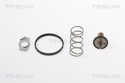 Triscan Thermostat, Kühlmittel [Hersteller-Nr. 862044890] für Smart von TRISCAN