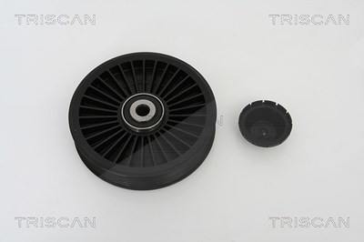 Triscan Umlenk-/Führungsrolle, Keilrippenriemen [Hersteller-Nr. 8641102023] für Nissan, Opel, Renault von TRISCAN