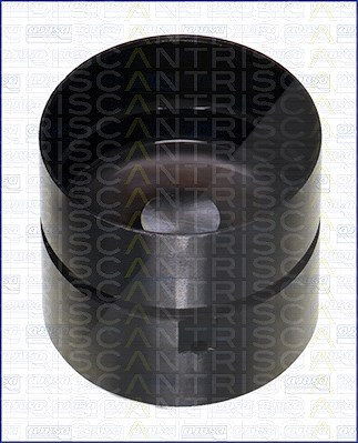Triscan Ventilstößel [Hersteller-Nr. 80-23002] für Gm Korea, Mercedes-Benz, Ssangyong von TRISCAN