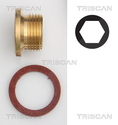 Triscan Verschlussschraube, Ölwanne [Hersteller-Nr. 95001005] für Ford, Ford Usa, Jaguar, Peugeot, Volvo von TRISCAN
