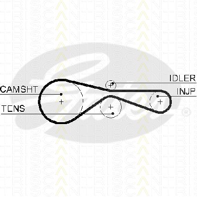 Triscan Zahnriemen [Hersteller-Nr. 86455614xs] für Audi, VW von TRISCAN