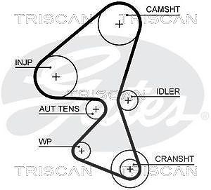 Triscan Zahnriemen [Hersteller-Nr. 86455656xs] für Citroën, Ds, Fiat, Ford, Mazda, Mitsubishi, Peugeot, Toyota, Volvo von TRISCAN