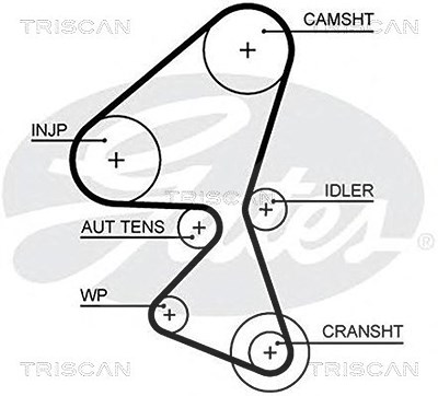 Triscan Zahnriemen [Hersteller-Nr. 86455657xs] für Citroën, Ds, Ford, Peugeot von TRISCAN