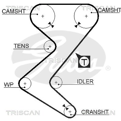 Triscan Zahnriemen [Hersteller-Nr. 86455528xs] für Citroën, Fiat, Lancia, Peugeot, Pgo von TRISCAN