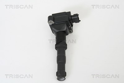 Triscan Zündspule [Hersteller-Nr. 886020002] für Porsche von TRISCAN