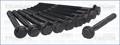 Triscan Zylinderkopfschraubensatz [Hersteller-Nr. 98-2500] für Alfa Romeo, Autobianchi, Chrysler, Fiat, Ford, Lancia, Tata, Yugo, Zastava von TRISCAN