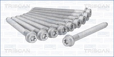 Triscan Zylinderkopfschraubensatz [Hersteller-Nr. 98-5503] für Auverland, Citroën, Fiat, Hyundai, Lada, Lancia, Peugeot, Rover, Suzuki von TRISCAN